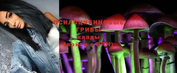 mix Бородино