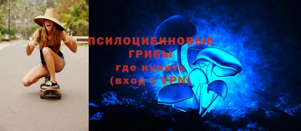 мдпв Бронницы